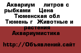 Аквариум 40 литров с  рыбками  › Цена ­ 3 000 - Тюменская обл., Тюмень г. Животные и растения » Аквариумистика   